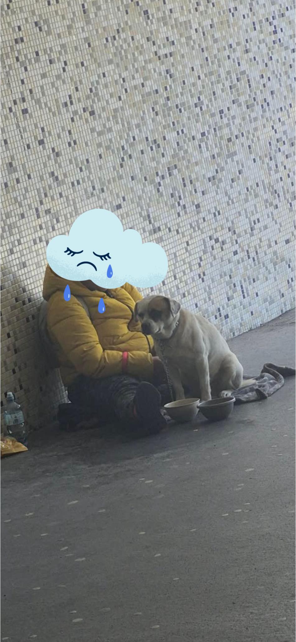Die Bettlerin mit  Hund